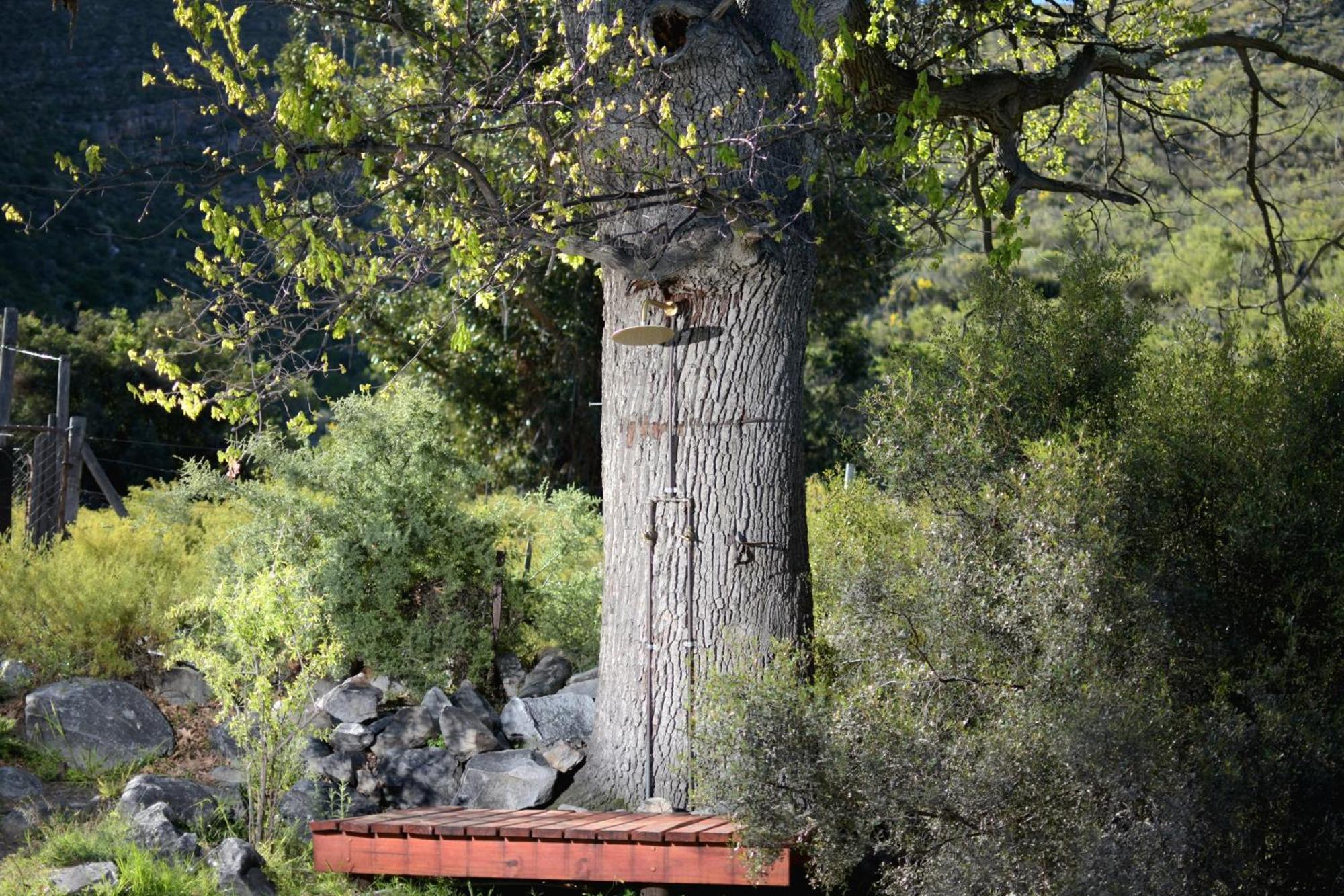 Oakron At Patatsfontein Stay Montagu Buitenkant foto